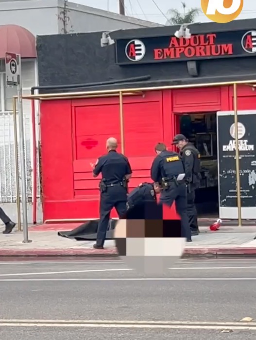 Police dog burned as suspect tries to torch adult store in San Diego shooting