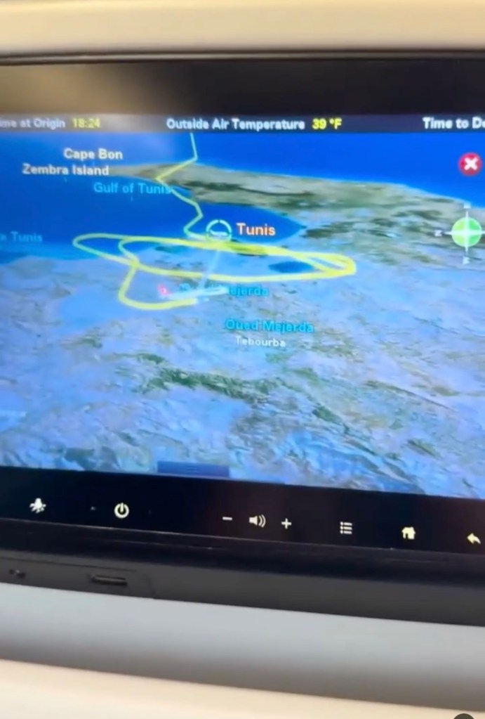 Turkish Airlines flight ‘started to plummet’ after trying to land 3 times during storm: ‘Absolutely terrifying’