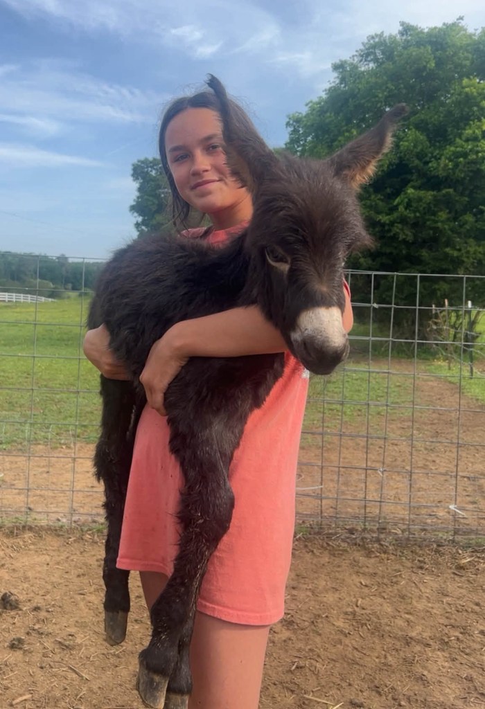 Georgia cops kill baby donkey HeeHaw, and his owner demands justice: ‘He was my son’