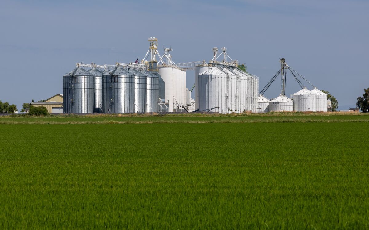 Lundberg Family Farms rice recall expanded as warning issued for Walmart, Target and Whole Foods shoppers