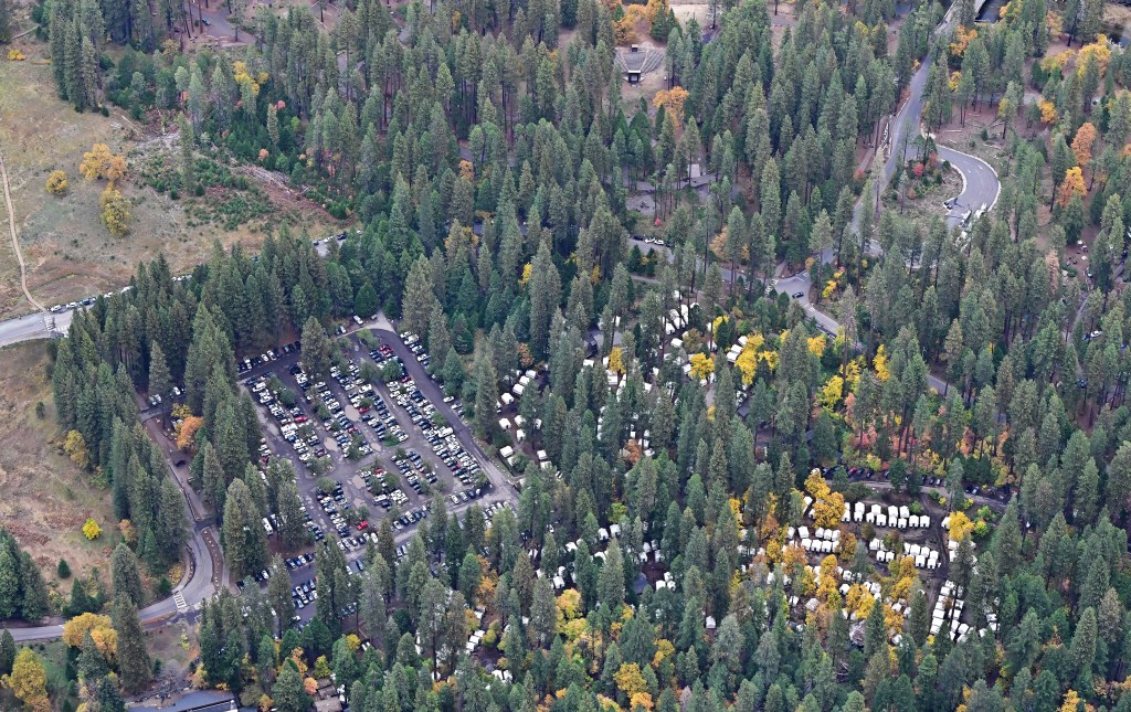 Yosemite visitors rage after rabies case revealed months after infected bat found dead at famed camp