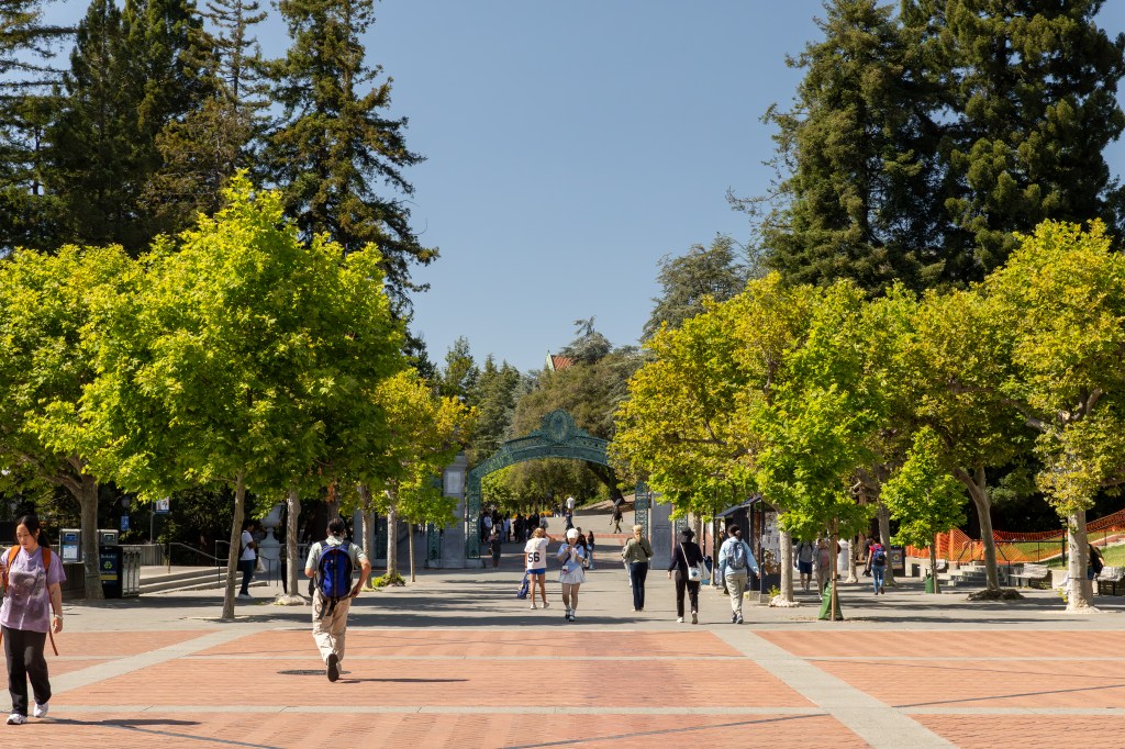 California high school grads score 4.0 GPAs but can’t do basic math, professors say