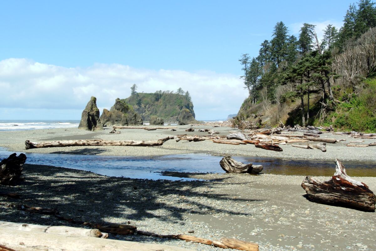 Frantic search launched for hiker, 26, who vanished during off-trail excursion at Olympic National Park