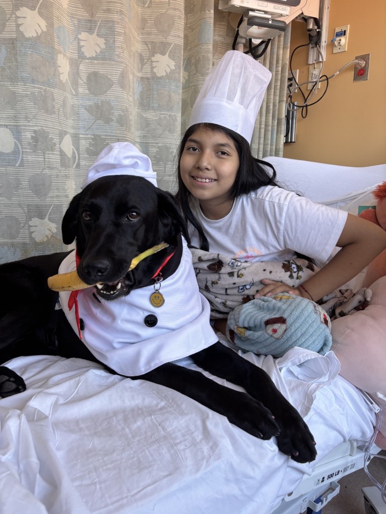 Meet NYC’s ‘doctor dogs’ who are helping hospitalized kids heal