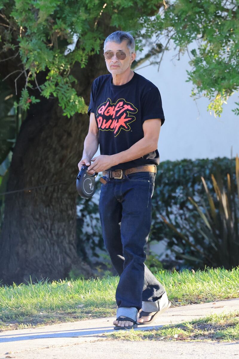 Halle Berry learns her fate in court after ex Olivier Martinez’s restraining order request over abuse claims