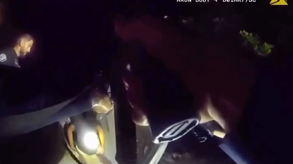 Wild moment California chase ends with suspect crawling into storm drain after cops deploy car-catching grappler
