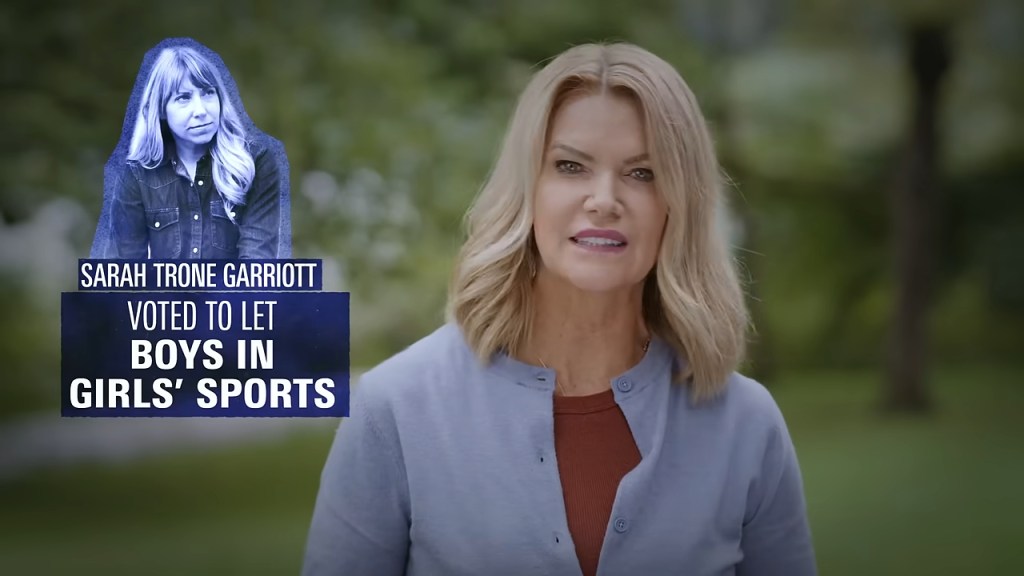 Iowa councilwoman who accused rival of being ‘dangerous’ for kids once pleaded guilty to child endangerment