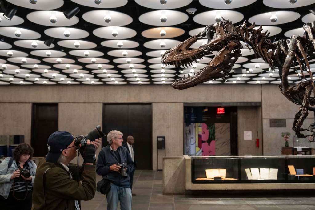 Dinosaur fossil resembling ‘mini T. Rex’ sells for whopping $47M