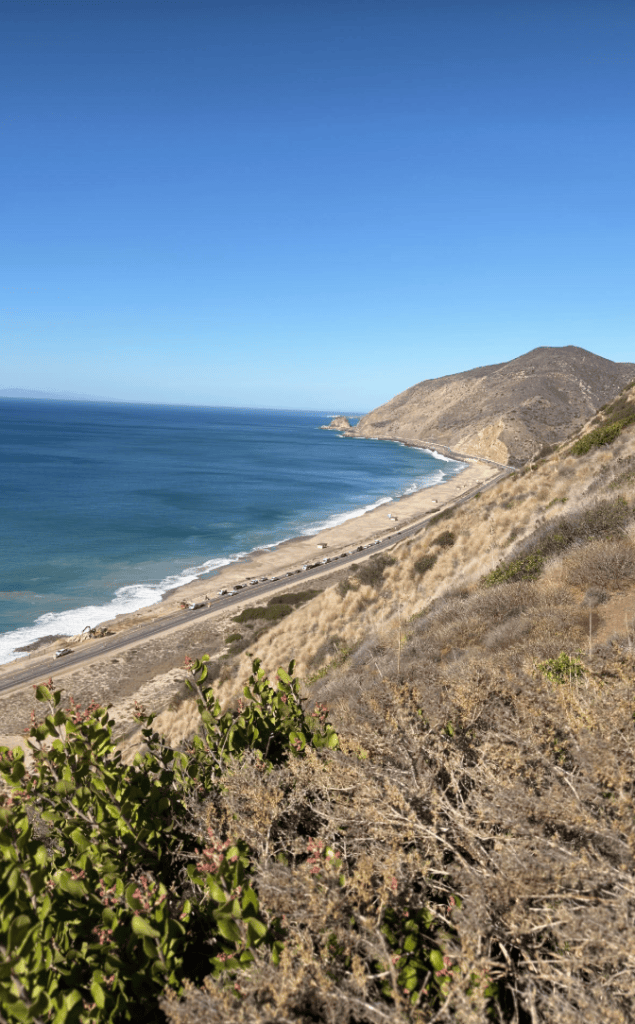 Horror as woman, 30, swept to her death by huge wave in front of husband in California — as haunting final photo emerges