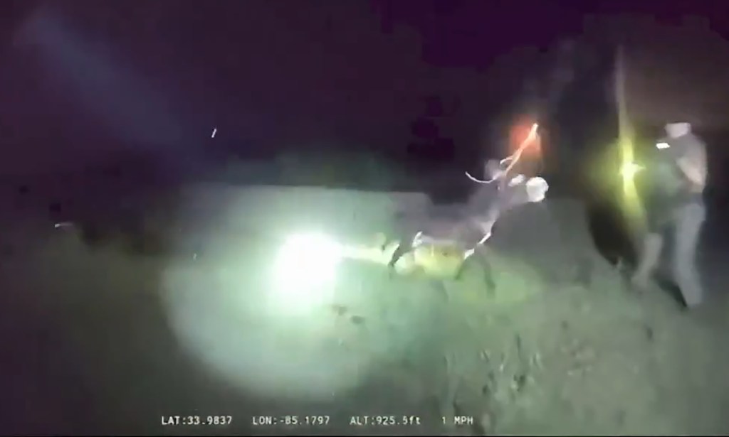 Bodycam footage shows moment Georgia cop shoots beloved donkey HeeHaw