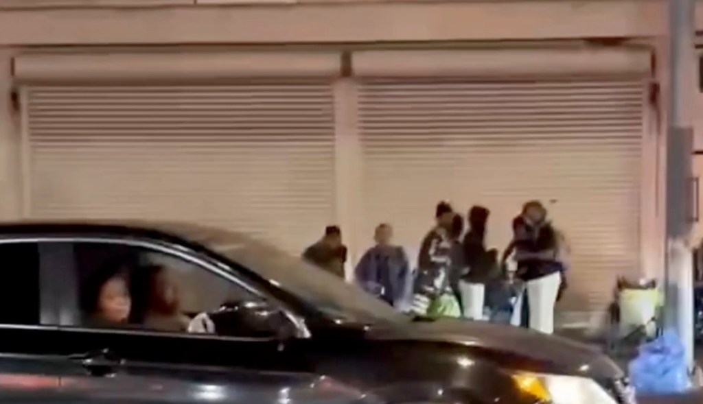 Wild moment Steve Hilton finds himself in the middle of maniac fighting security on streets of LA