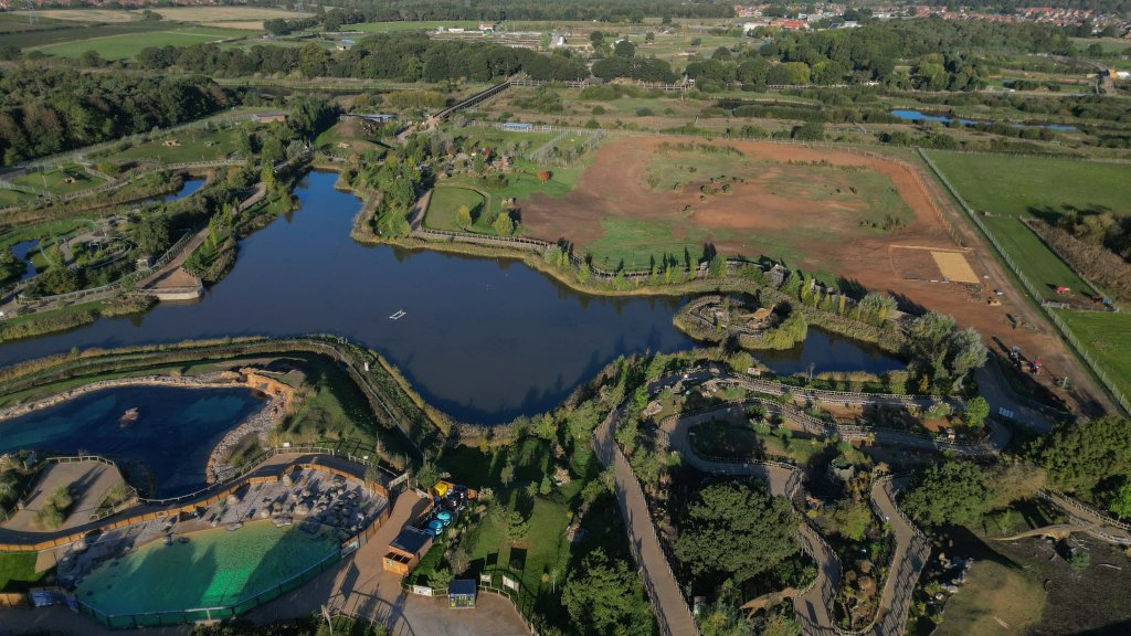 Man fatally mauled by tiger prayed, bowed down to big cat inside UK wildlife enclosure after stranger tried to pull him back