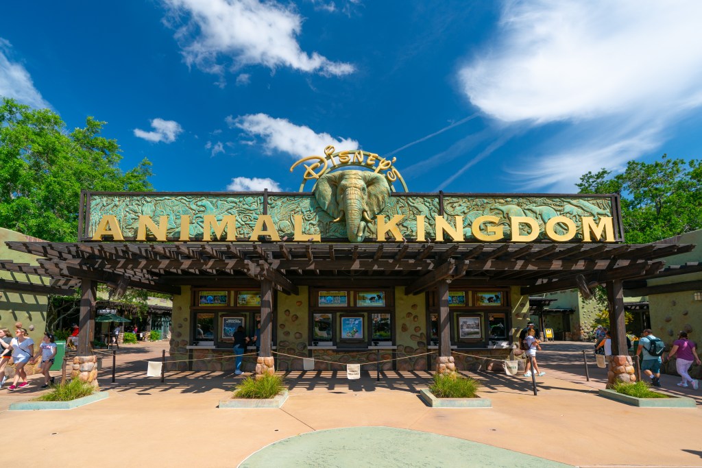 Disney World now costs $301 for a single one-day pass to access all parks after big price hike 