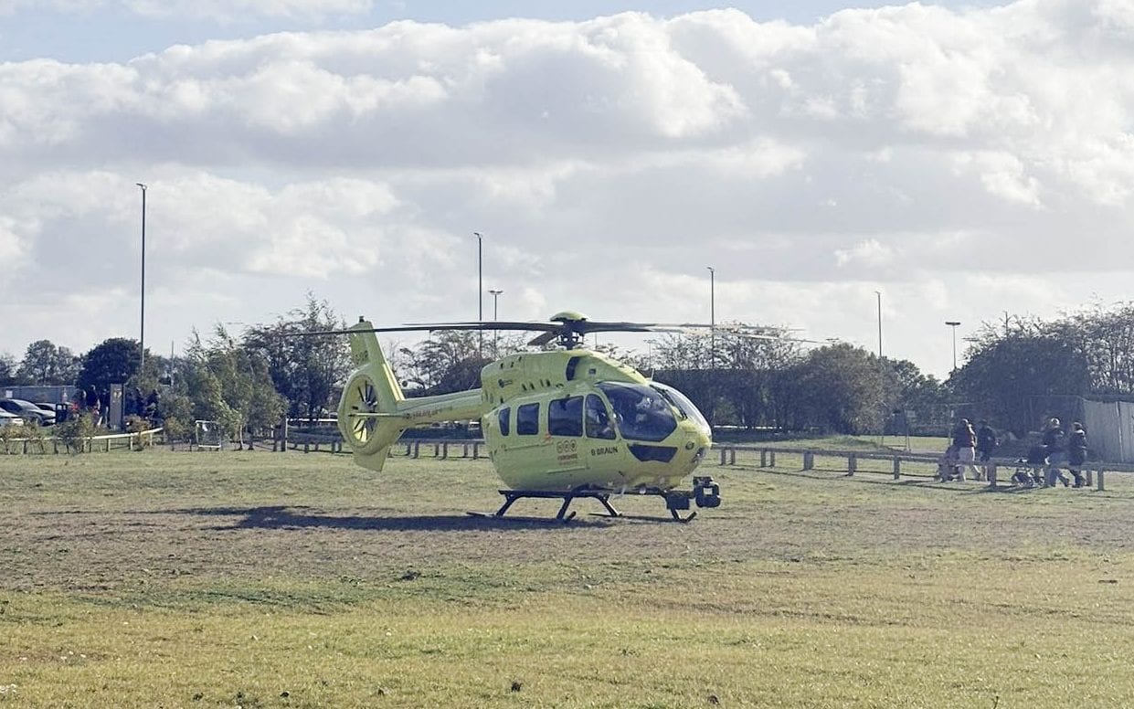 Emergency situation at zoo after man allegedly jumps into tiger enclosure as witness says 'shots fired'