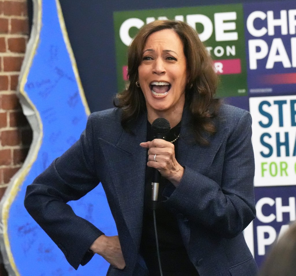 Kamala Harris jokes about cursing out the TV in rage at Trump after her loss: ‘We’ve been depressed and angry’