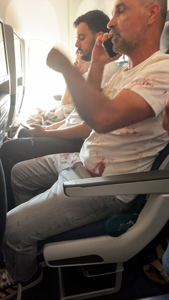 Crew of hijacked flydubai plane clashed with heroic Israeli passengers, demanded tied-up terror pilot be freed