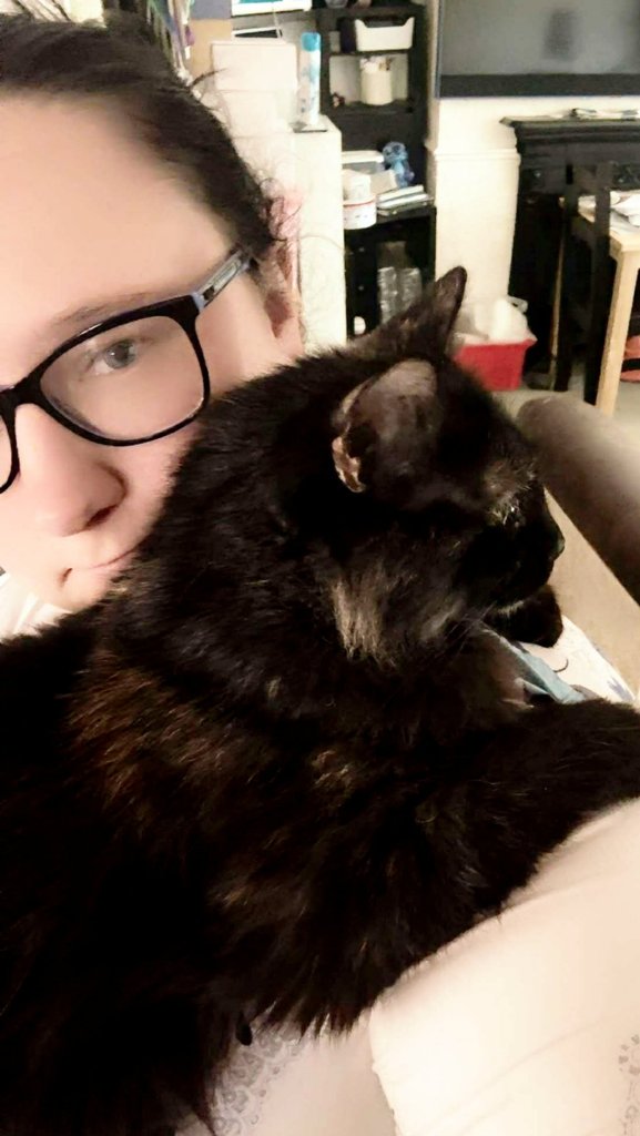 Vet saves critically ill cat’s life by using dog’s blood