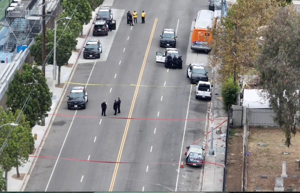 Father executes his two sons, 4 and 11, in broad daylight on Los Angeles street — as horrified family speaks out
