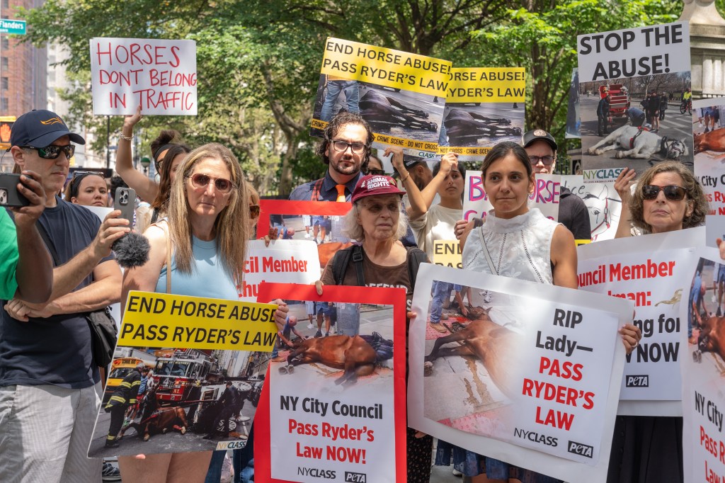 Horse carriage union sues NYC moments after politicians vote to end Central Park tradition