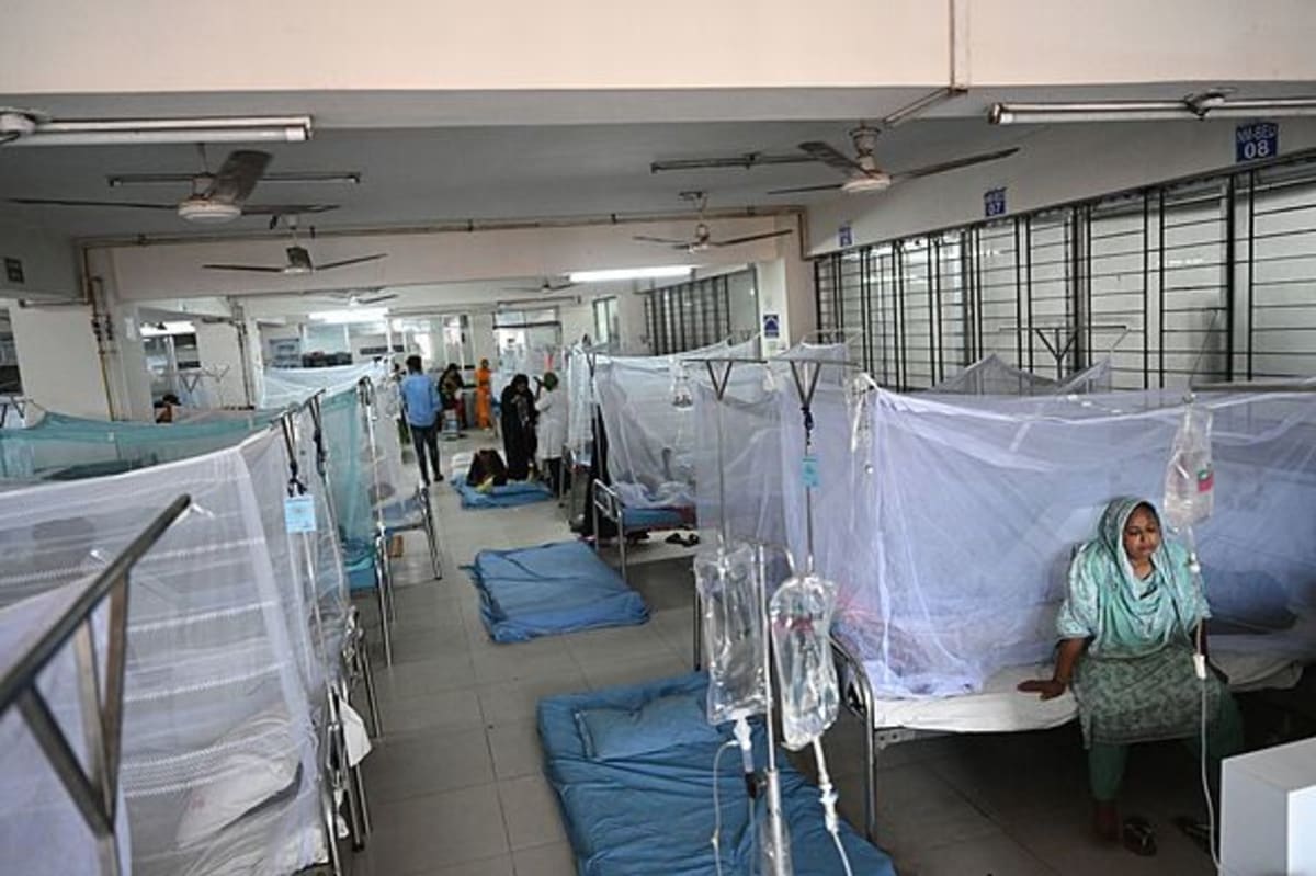 WHO responds to Russia 'plague' fears as death toll rises