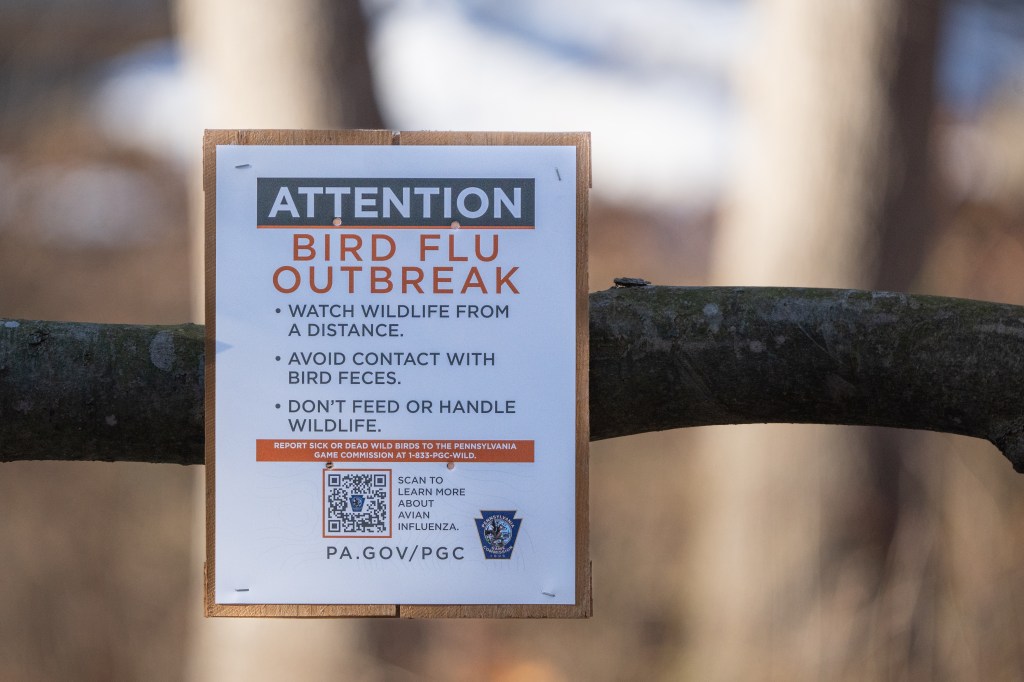 Bird dlu discovery prompts slaughter of multiple poultry flocks in Sacramento