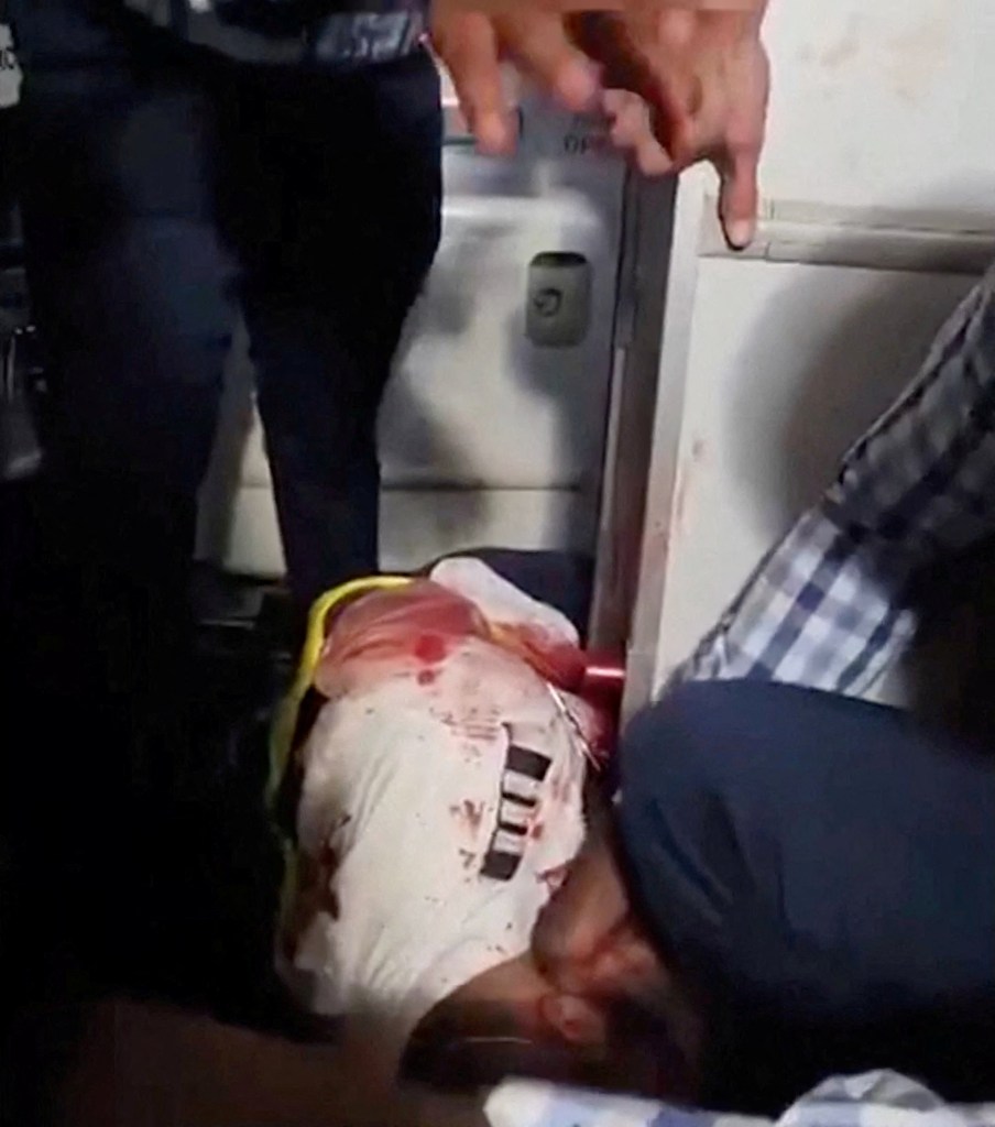 Omani co-pilot ‘underwent Islamist radical indoctrination’ on suicidal mission to ‘down the plane,’ Netanyahu says