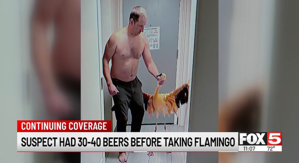 Canadian tourist accused of stealing flamingo from Las Vegas Strip says he drank up to 40 beers before pulling off heist