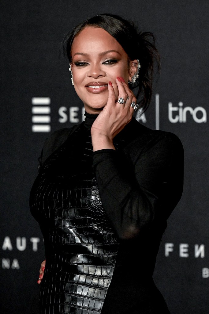 Accused shooter ‘wanted to kill Rihanna, everyone else was collateral damage’: prosecutors