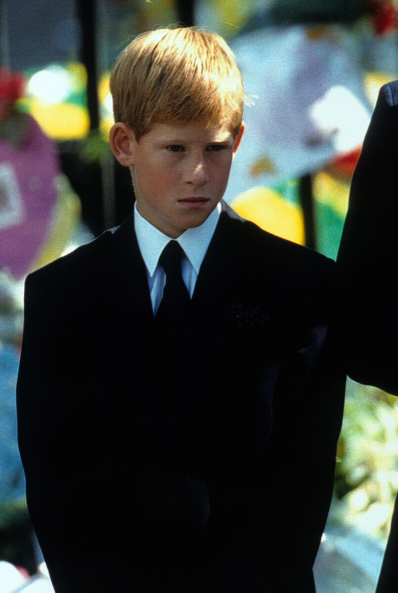 Prince Harry admits he speaks to a portrait of mom Princess Diana — and always asks the same question
