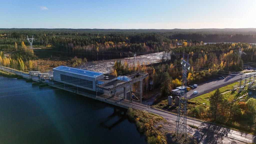 Google illegally cut down 250K trees in Finland for data center, driving wolves into villages and infuriating locals: report
