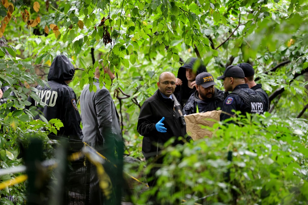 Stick-wielding lunatic admits to bashing beloved Central Park artist over 20 times so she ‘couldn’t hit me anymore’: prosecutors