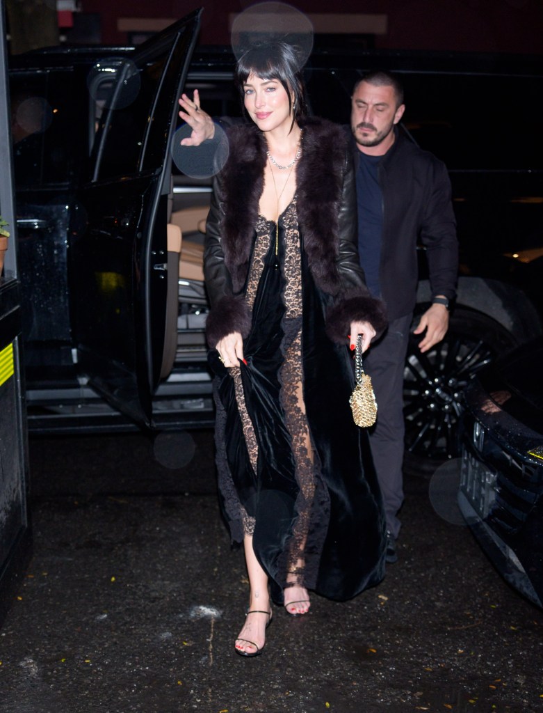 Dakota Johnson celebrates her birthday wearing sheer lace and fur