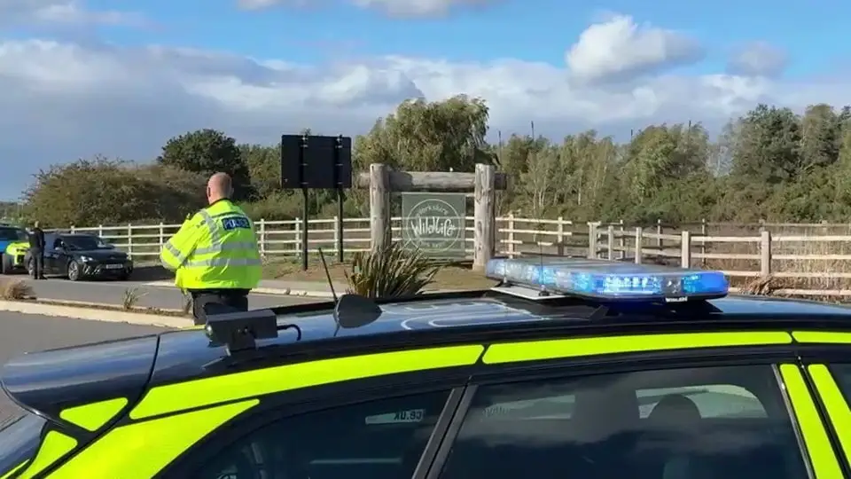 What will happen to tiger now as Yorkshire Wildlife Park give update on animal that fatally attacked man