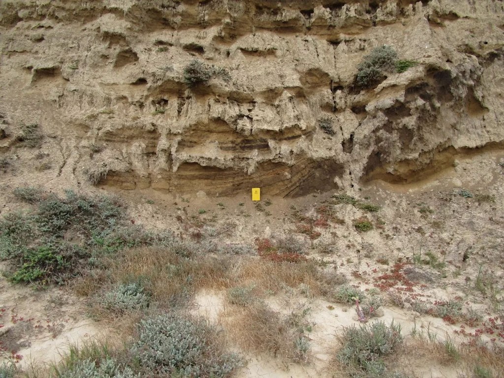 13,000-year-old bones found near SoCal coast could rewrite human history