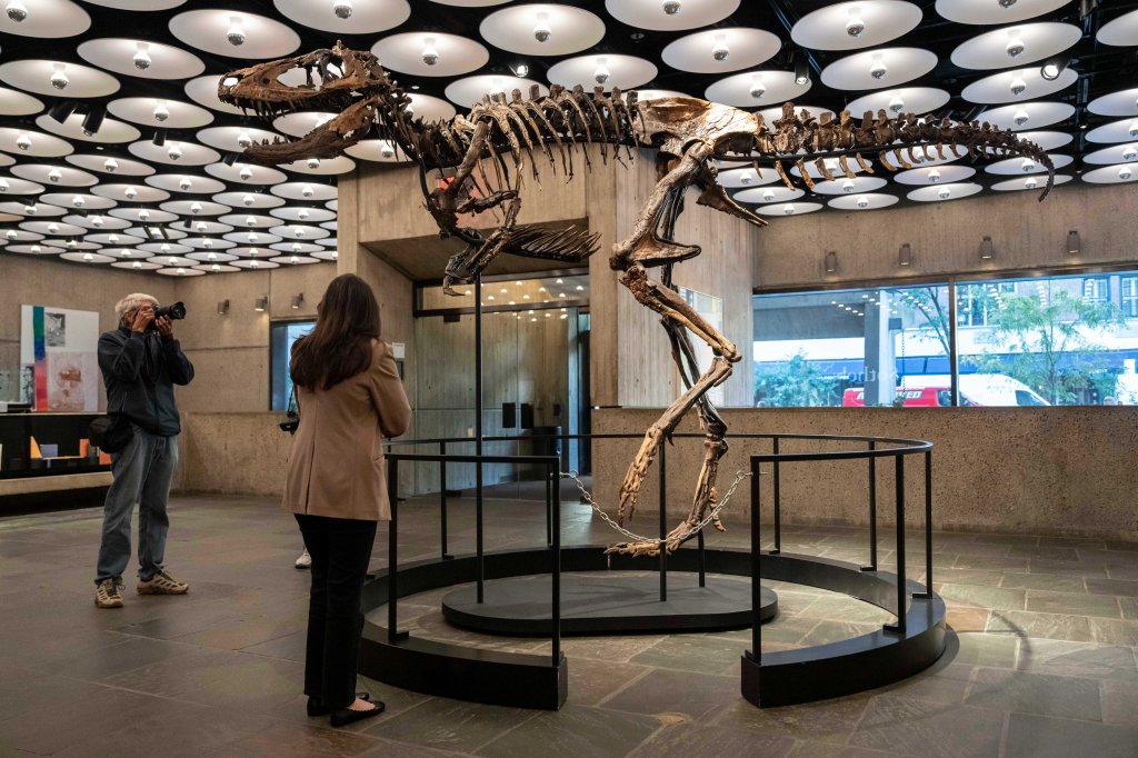 Dinosaur fossil resembling ‘mini T. Rex’ sells for whopping $47M