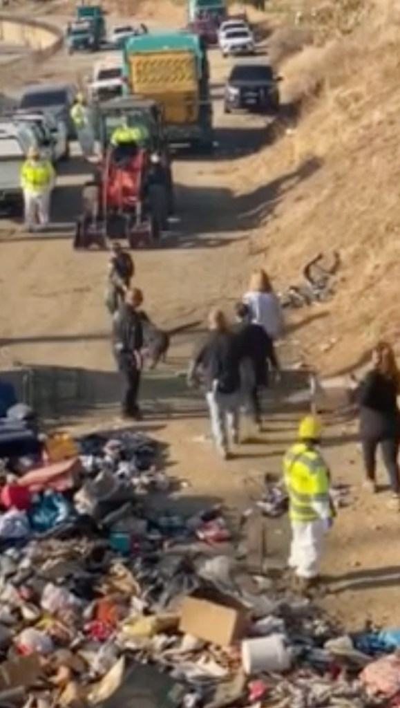 Freeway encampment crackdown takes disturbing turn as dozens arrested, dogs and chickens found