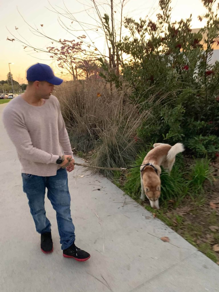Horror as beloved family dog is found hanged by his leash in alley outside their Los Angeles home
