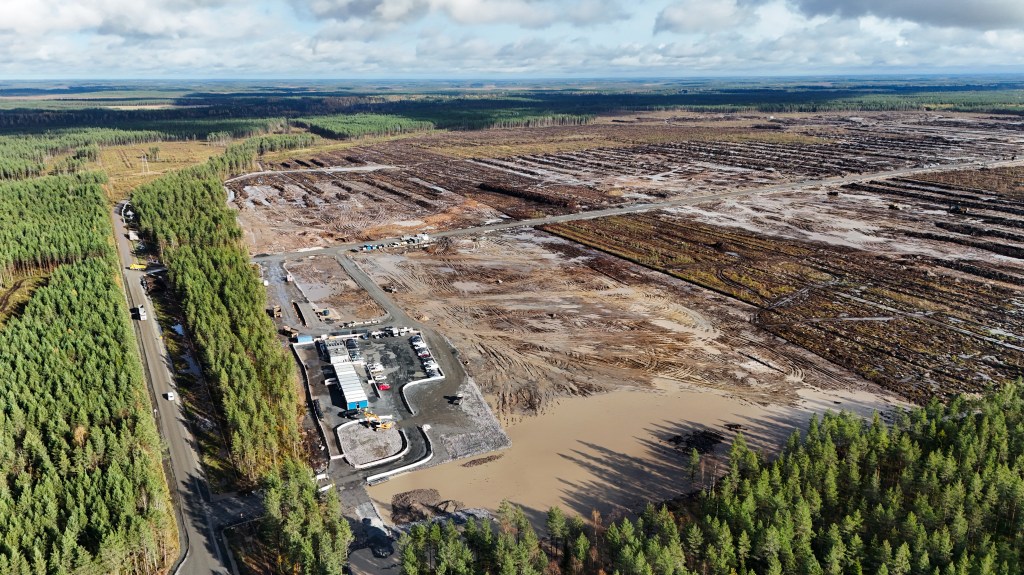 Google illegally cut down 250K trees in Finland for data center, driving wolves into villages and infuriating locals: report