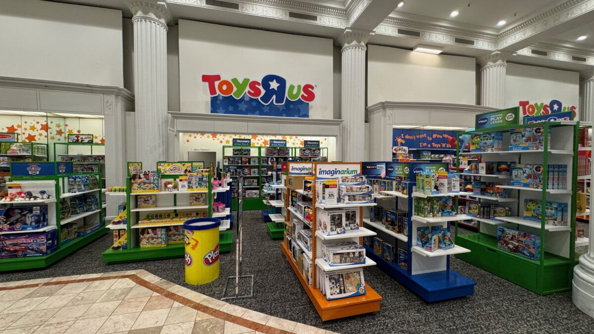 Data shows childless adults spend more on toys than familes with kids — and an expert explains why
