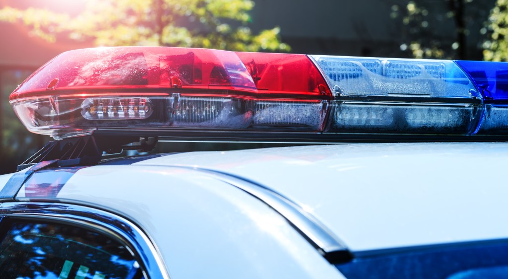 Illinois woman intentionally drove car head-on into tractor-trailer with mom and son in plot to kill ‘all occupants’: cops