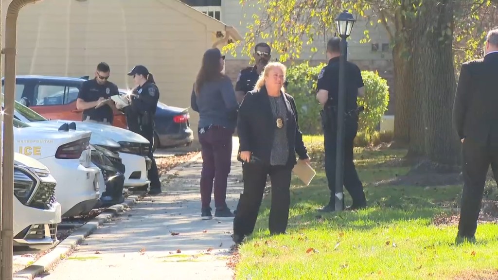 Mom and 9-year-old son found dead in suspected murder-suicide: police