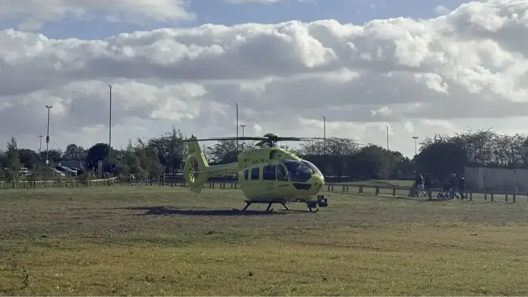 Witnesses speak out after man dies entering a tiger enclosure as new details emerge
