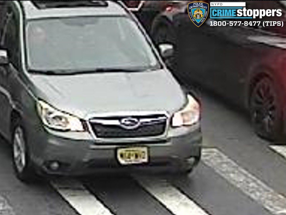 Dog-gone shame — crooks steal Yorkshire Terrier named Chanel from NYC yard