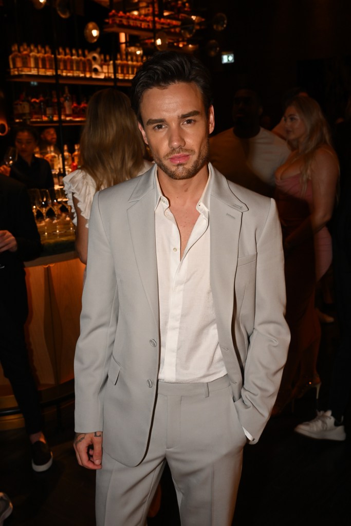 Harry Styles pays heartbreaking tribute to Liam Payne with never-before-heard song 2 years after his death