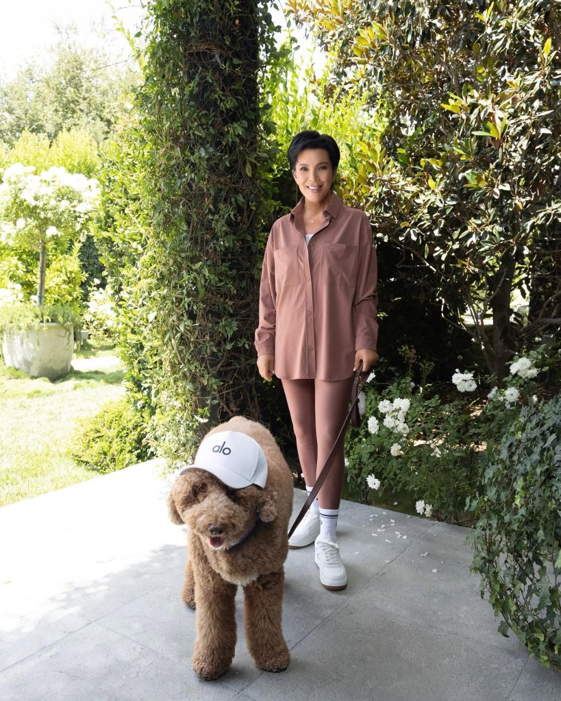 Dog broker to the stars sued over alleged ‘puppy laundering’ scheme that sold breeder dogs as rescues