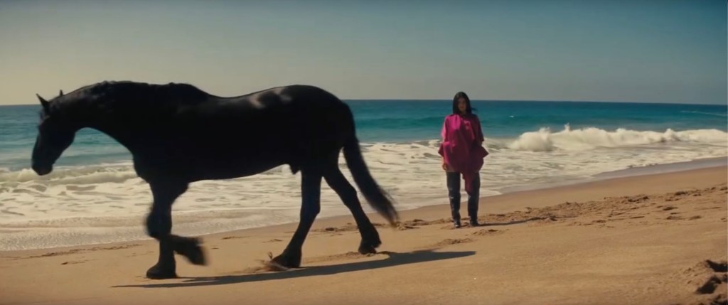 Kylie Jenner splashes around with a horse in new Stella McCartney campaign