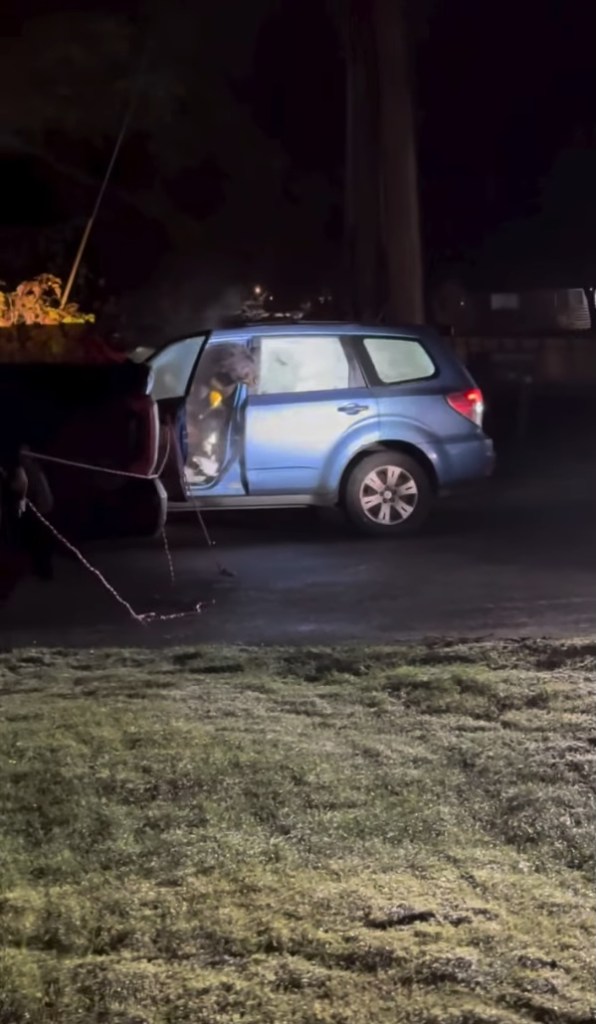 Black bear shreds car to pieces after getting locked inside: ‘Fighting pretty good’