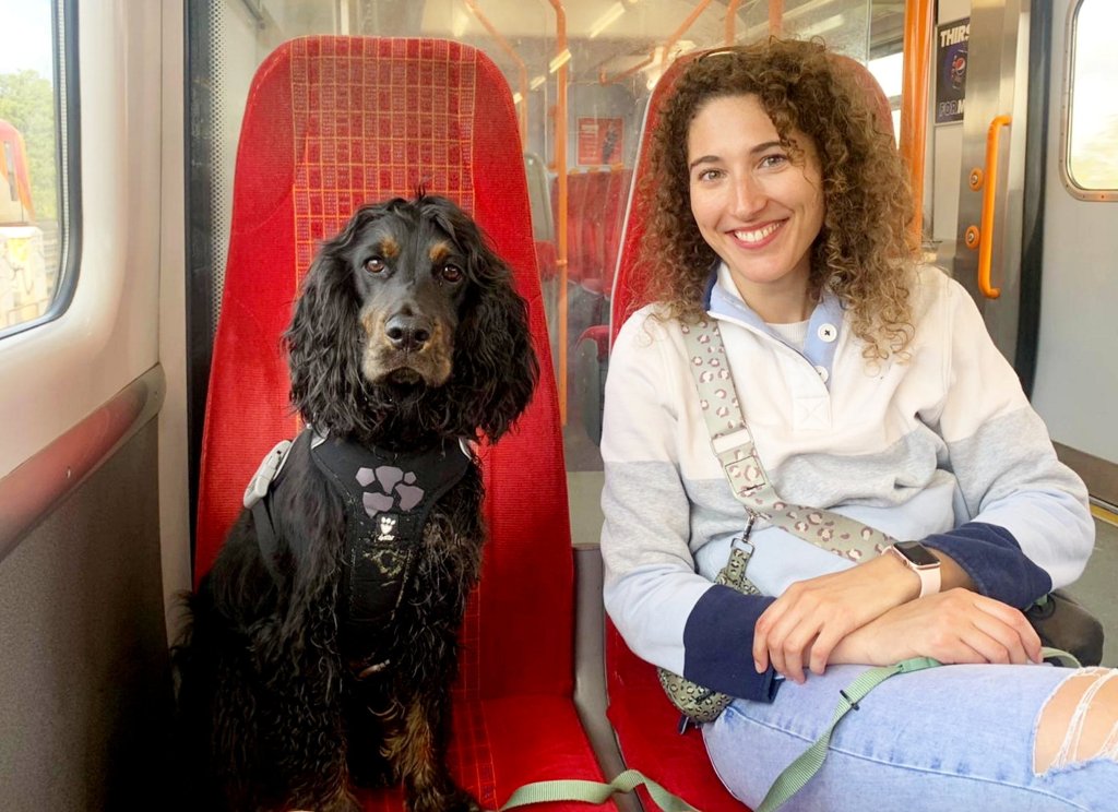 Vet saves critically ill cat’s life by using dog’s blood