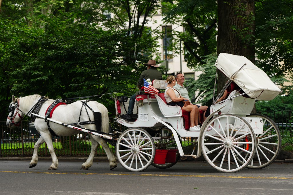 This is what’s in store for Big Apple carriage horses if the city bans the industry this week