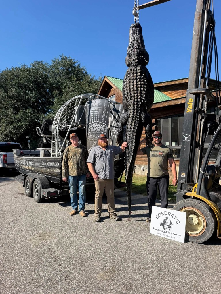 Whopping 844-pound alligator named Snaggletooth finally caught after hunter’s 4-year quest